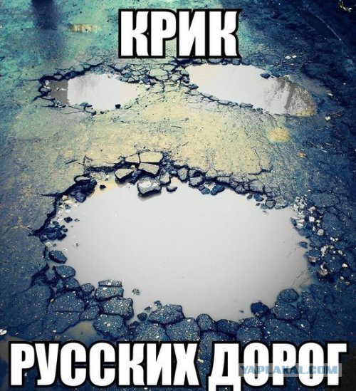 Подборка демотиваторов и картинок