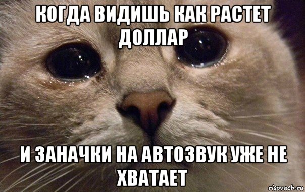 Картинки разные с просторов