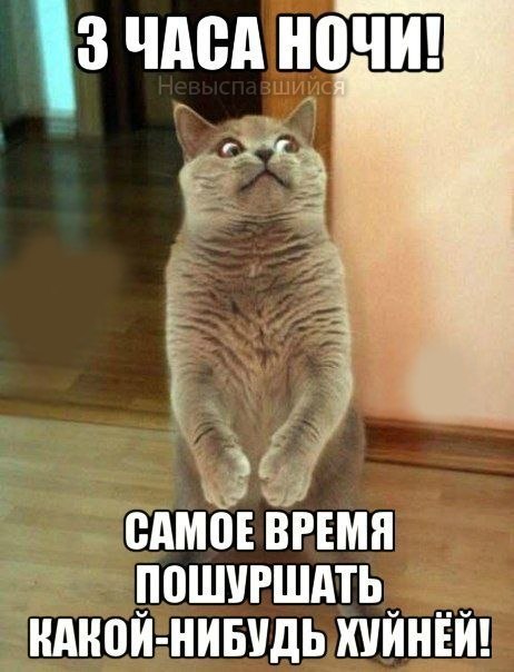 Разные картинки