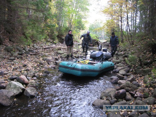 Веппский край, Южная тайга