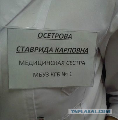 Весёлые картинки