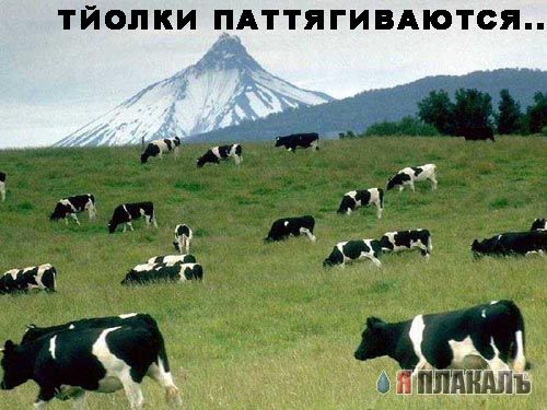 Уже да :) Ужо пятнецца...