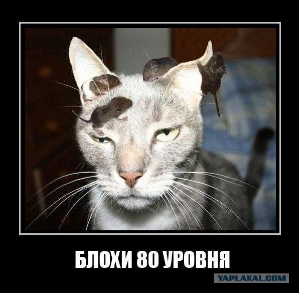 Очередная подборка картинок из сети