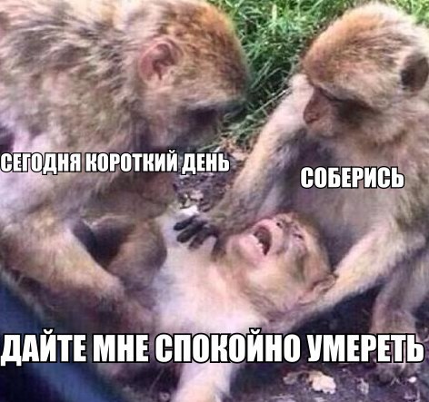 Подборка картинок 17.02.16