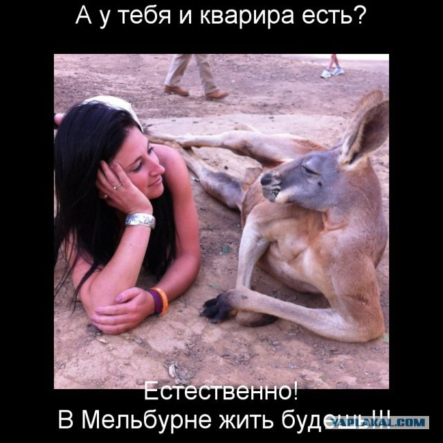 Картинок пост