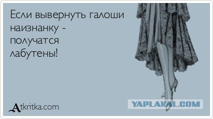 29 юморных открыток