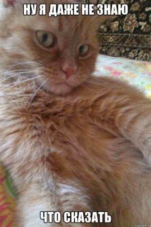 Небольшой дом в 250-летней башне на острове в Хорватии