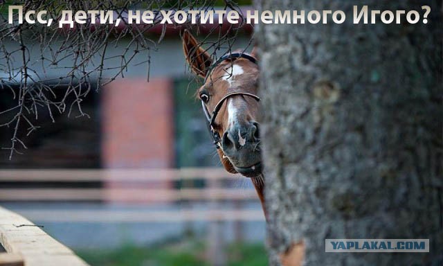 Псс, дети, не хотите немного Игого?