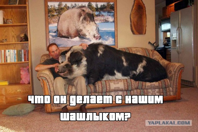 Для поднятия настроения - 5
