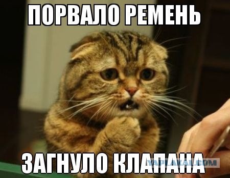Когда из-под капота постучали