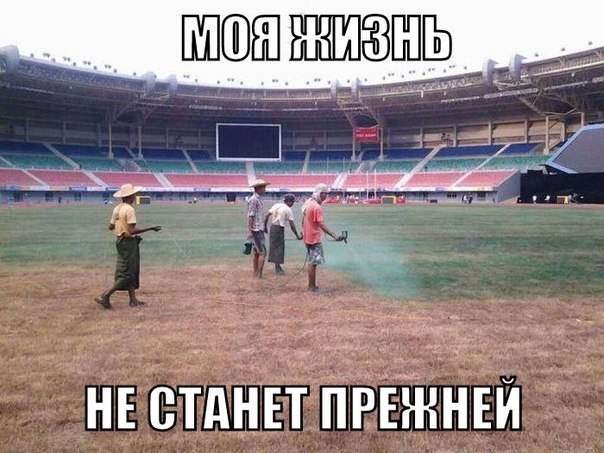 Соцсети - и смех и грех