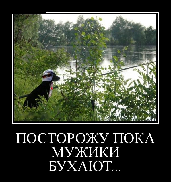 Прикольные животные