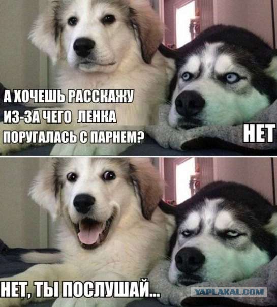 Смешные картинки из сети на 17.10.16