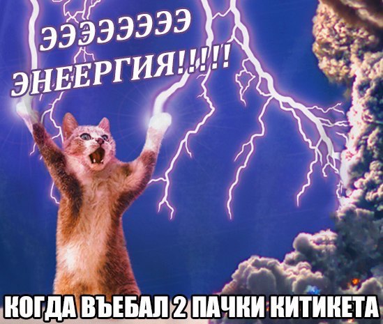 Подборка интересных и веселых картинок