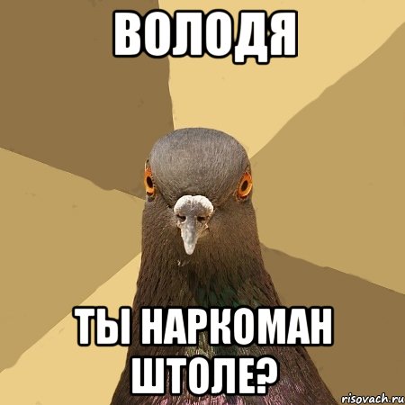 Поймал голубей-воришек у себя в квартире