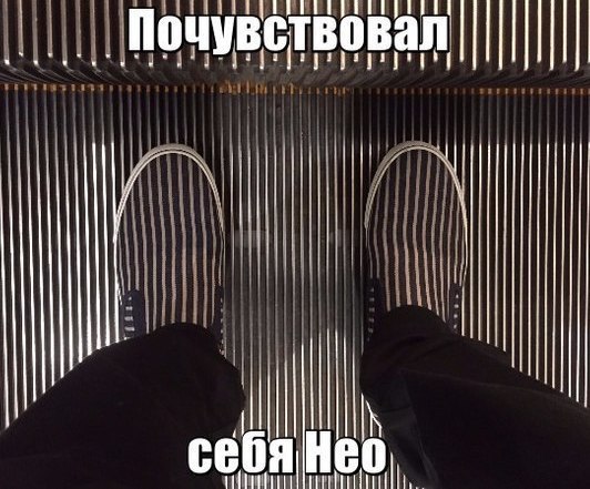 "Вы знаете, почему дайверы ныряют с катера спиной вперёд?" Немного юмора