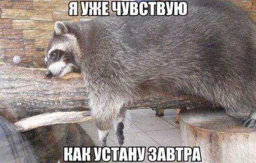 Всякое разное из сети