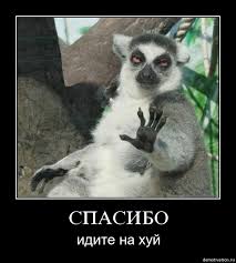 Почему Вы отчитываетесь перед людьми?
