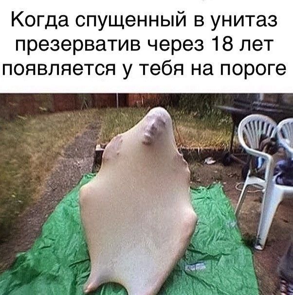 Смешные картинки
