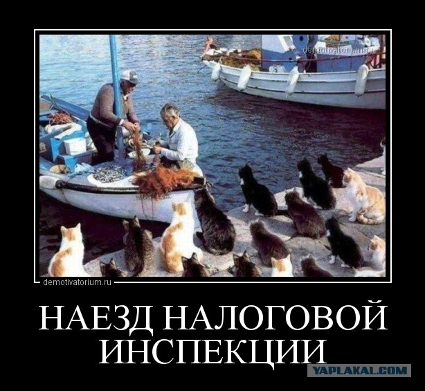 40% самозанятых уверены, что не должны ничего платить государству