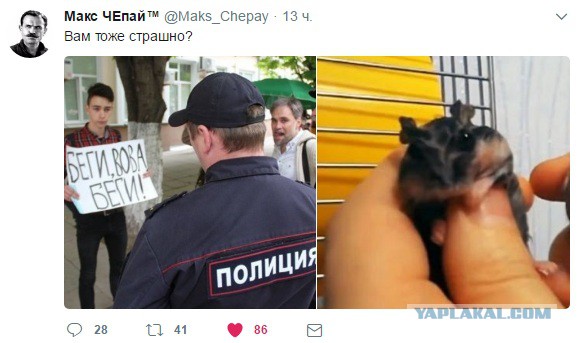 Соловьев ответил требующим его увольнения россиянам