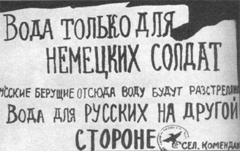 «Новый порядок» в Курске