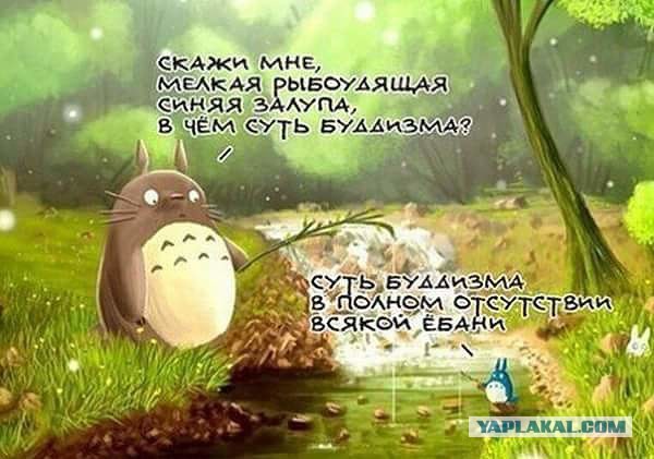 А вот и деградация подтянулась! Ныряем в омут с головой!