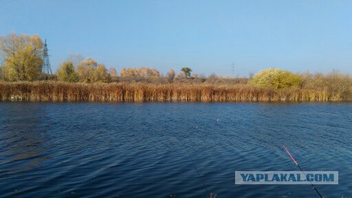 Соскучился по рыбалке