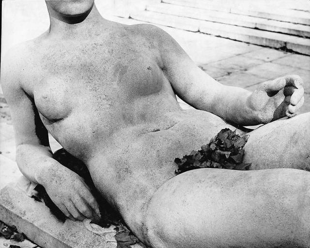 Милый юмор от фотографа Rene Maltete.