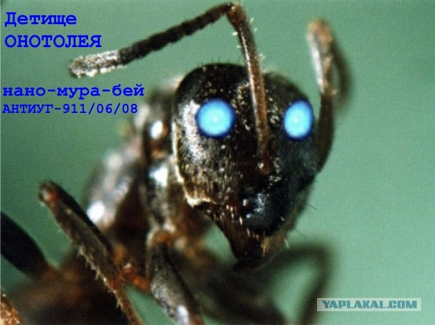 Фотожаба: 911 (на злобу дня)