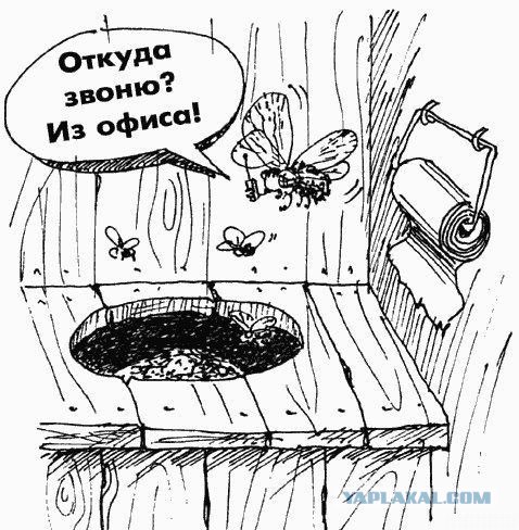 Фотожаба: веселые картинки