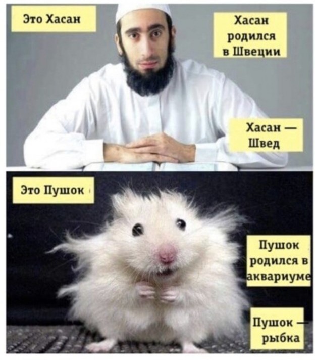 Бредзона 19.07.2020