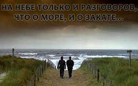 Жизнь человека. Последнее интервью