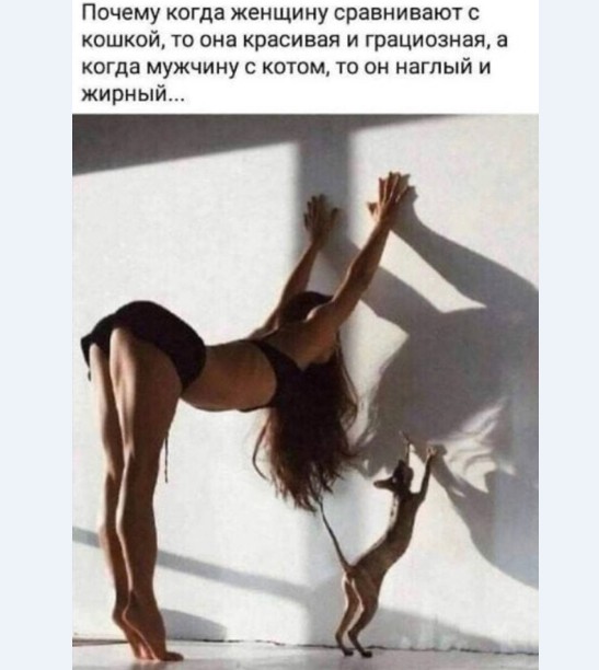 Картинки и мемы для настроения 016