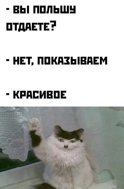 Всякие разные картинки 19.11.2021