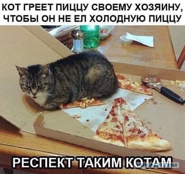 Веселые картинки и видосики
