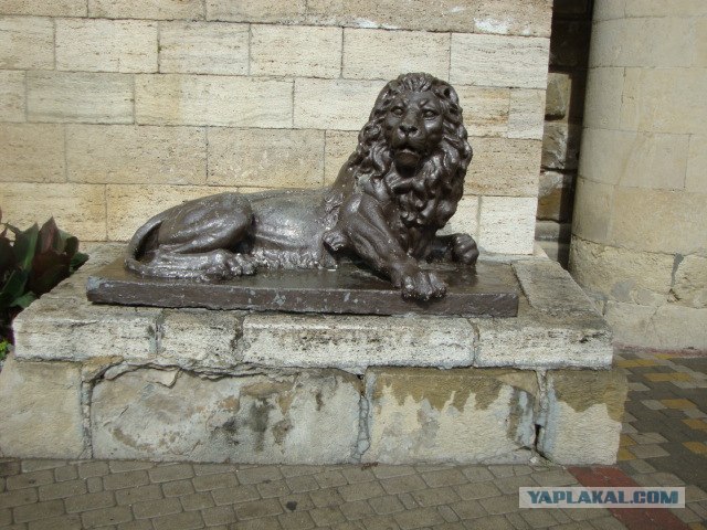 Кавказ-2012