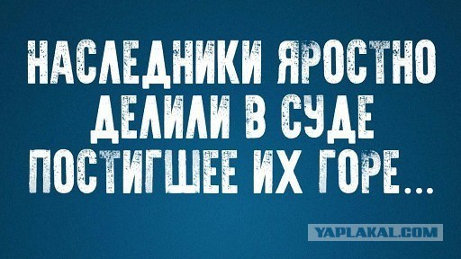 Вдова миллиардера