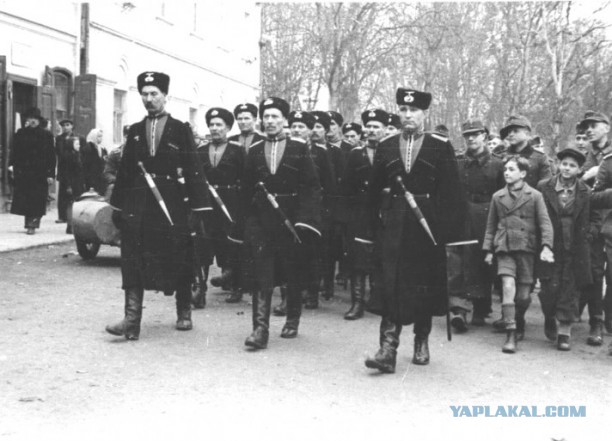 Кто воевал на стороне Гитлера