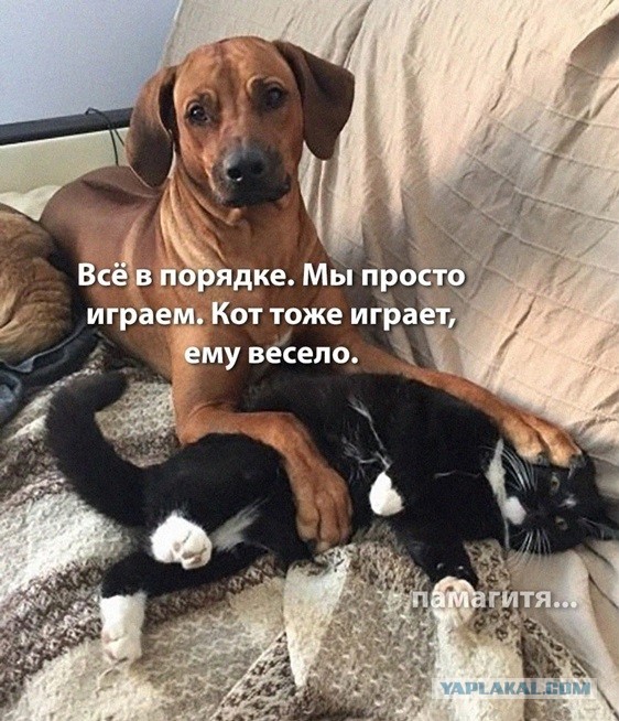 Это подло...