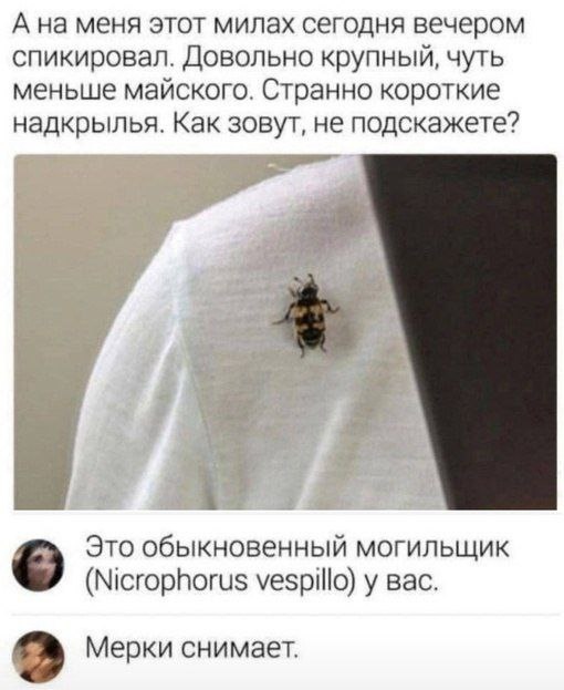 Картинки разные нужны, картинки разные важны