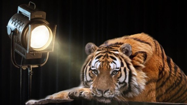 Добро с кулаками