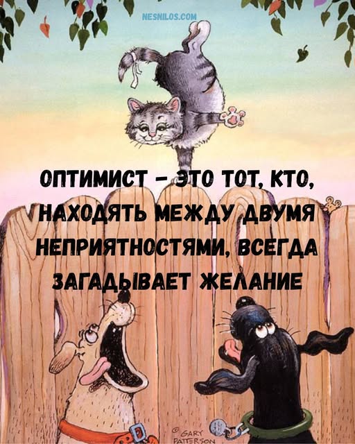 Смешнявых и не очень картинков пост