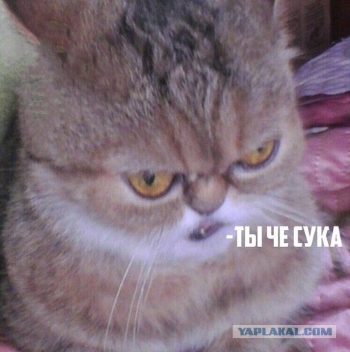 Дуэт Сара Брайтман и Андреа Бочели