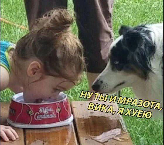 Дегрономикон 8