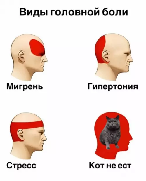 Картинки для деградации 135 (разной степени свежести)