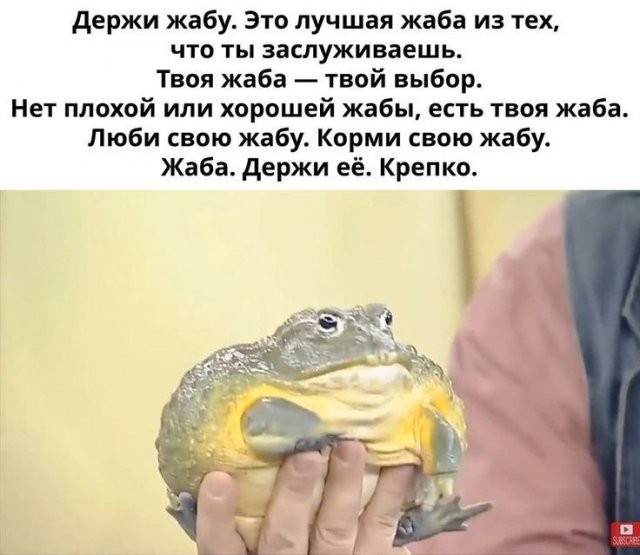 Картиночки, баянчики 01 августа