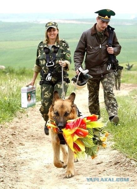 Девушка-кинолог: Мои собаки понимают по-немецки