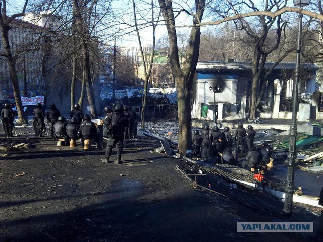 "Георгиевские " ленточки против флагов УПА