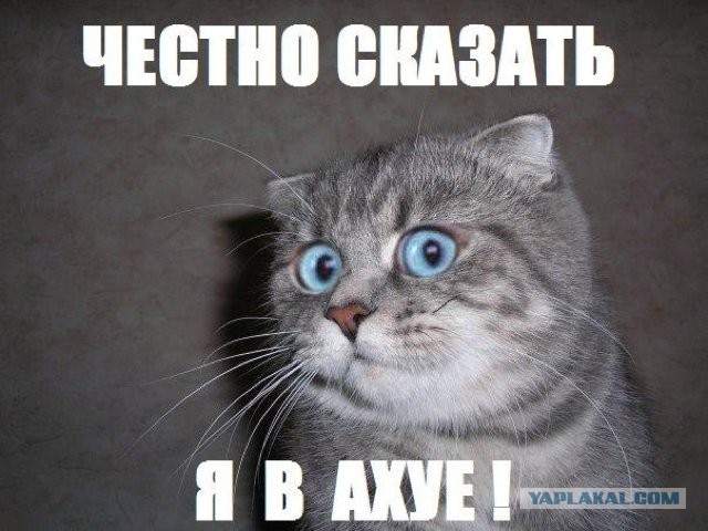 Картинки по запросу не верю мем